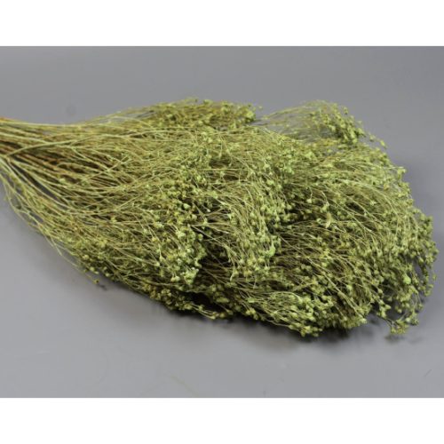 Broom Bloom 100g falfestékes vil.zöld