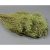 Broom Bloom 100g falfestékes vil.zöld