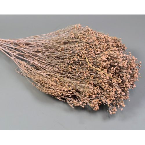 Broom Bloom 100g falfestékes rózsaszín