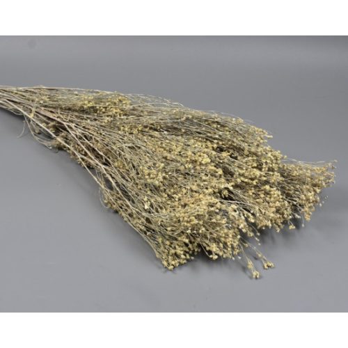 Broom Bloom 100g falfestékes fehér