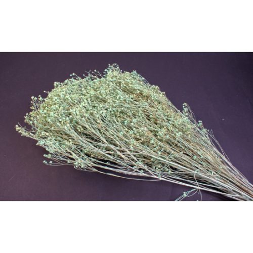 Broom Bloom 100g falfestékes aqua