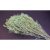 Broom Bloom 100g falfestékes aqua