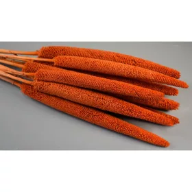 Babala narancs