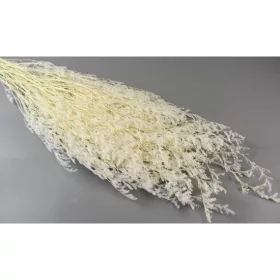 Sóvirág Limonium latifolium prep. fehérített