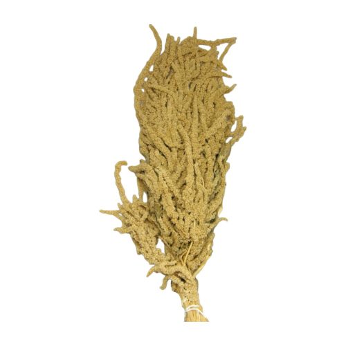 Amaranthus caudatus prep. natúr 2x0,2kg