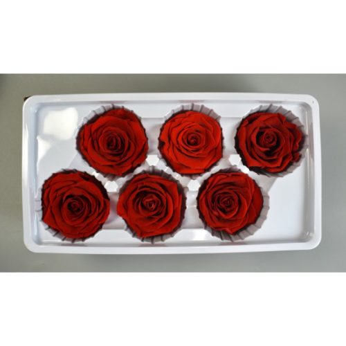Örökrózsa 6cm piros