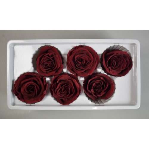 Örökrózsa 6cm bordó