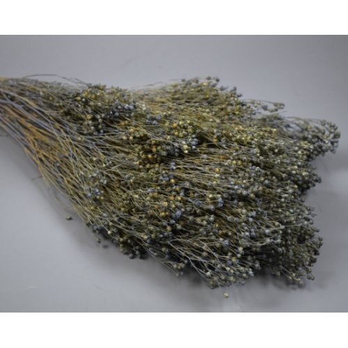 Broom Bloom 100g falfestékes very peri