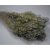 Broom Bloom 100g falfestékes very peri