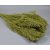 Broom Bloom 100g falfestékes olíva