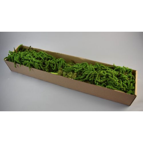 Amaranthus caudatus prep. vil.zöld 2x0,2kg
