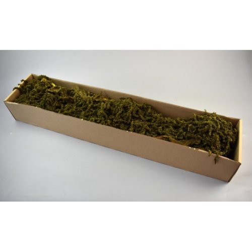 Amaranthus caudatus prep. mohazöld 2x0,2kg