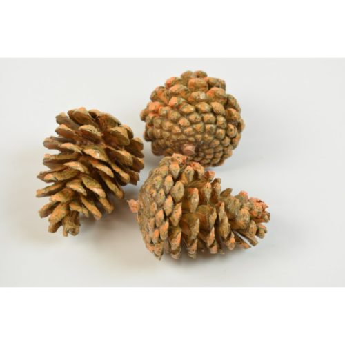 Toboz indiai 1kg viaszos narancs