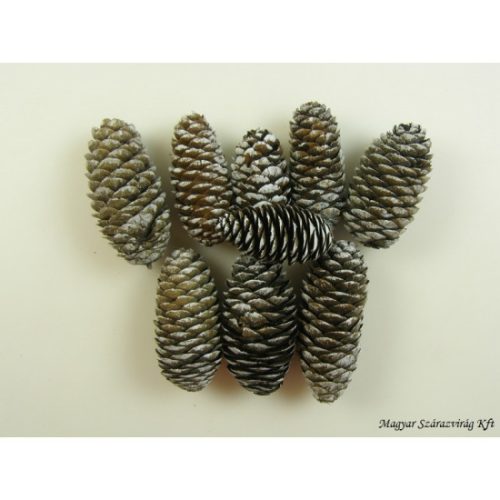 Szivar toboz 5-9cm 1kg havas