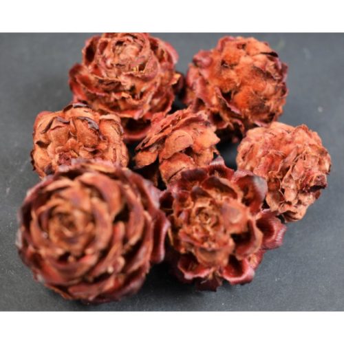 Pubescens piros