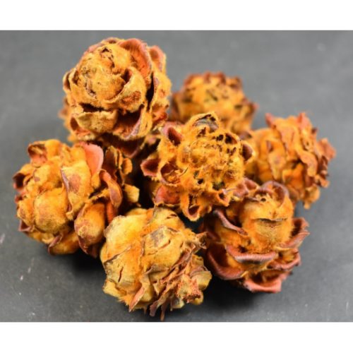 Pubescens narancs