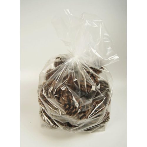 Pinus maritima toboz 1kg natúr
