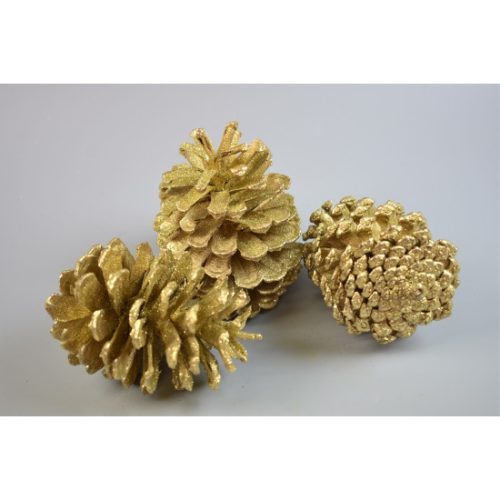 Pinus maritima toboz 1kg arany&glitter