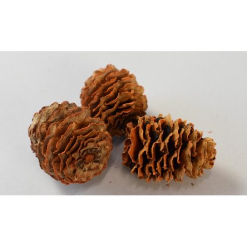 Meridianum narancs