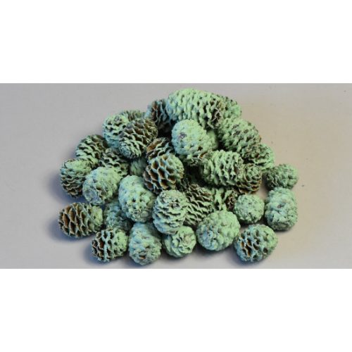 Meridianum falfestékes aqua