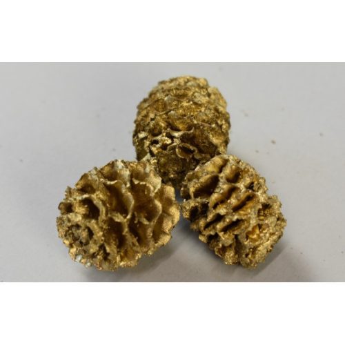 Meridianum arany