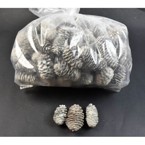 Kínai hosszúkás toboz 5-6cm 1kg zúzmarás