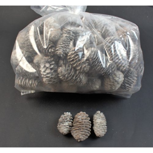 Kínai hosszúkás toboz 5-6cm 1kg havas