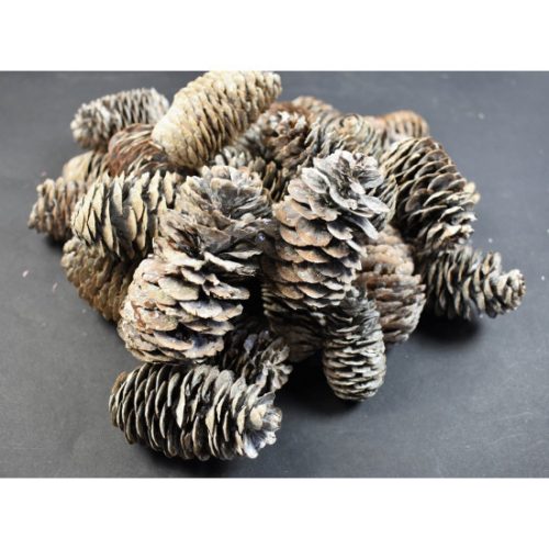 Kínai hosszúkás toboz 5-6cm 1kg fehér&glitter