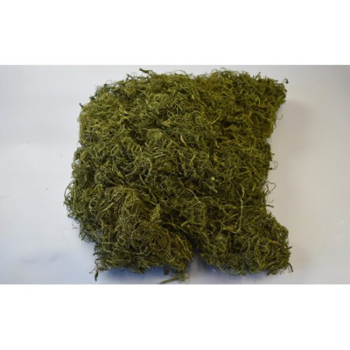 Kócos moha /Curly moos 1kg vil.zöld
