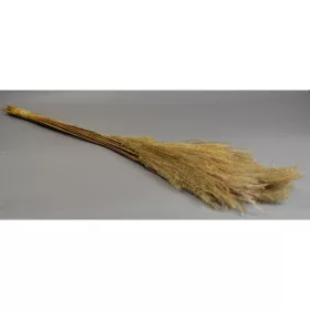 Miscanthus Japánfű natúr