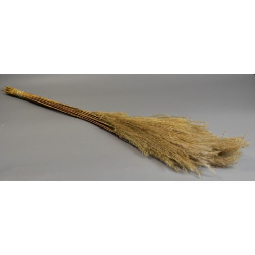Miscanthus Japánfű natúr