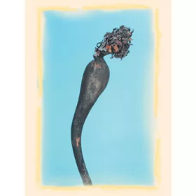 Kelp 1m natúr