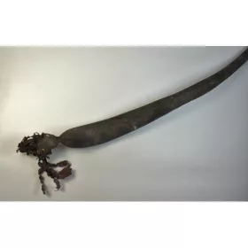 Kelp