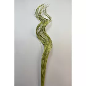 Fűzvessző ting ting 80cm mohazöld