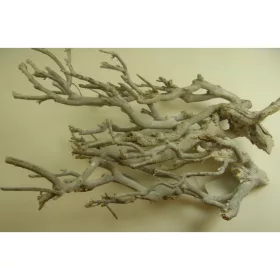 Curry bush 30-45cm zúzmarás