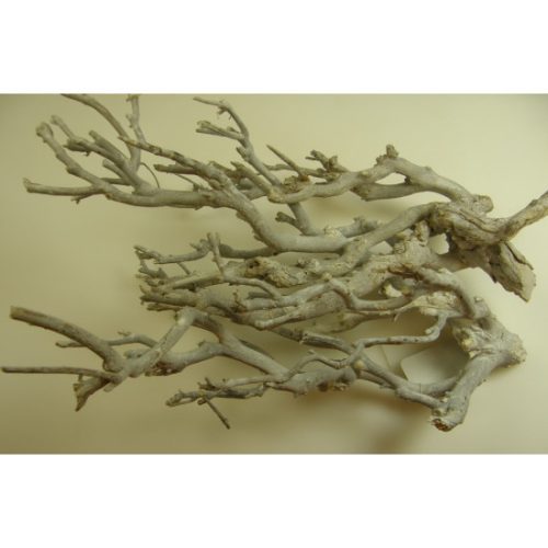 Curry bush 30-45cm zúzmarás