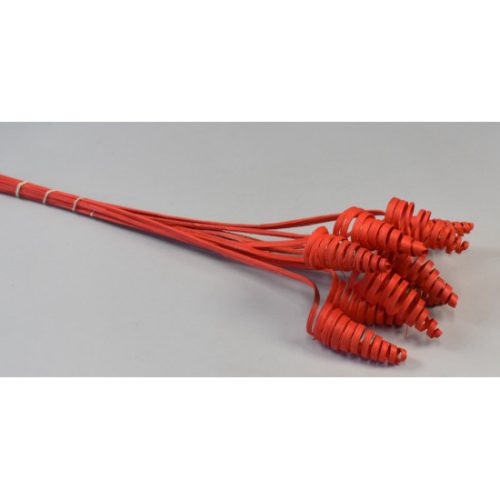 Cane Cone piros