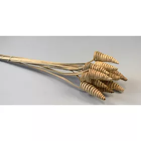 Cane Cone natúr
