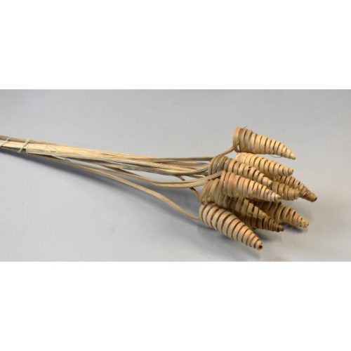 Cane Cone natúr