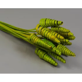 Cane Cone mini feh.vil.zöld