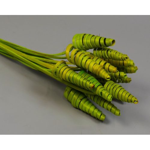Cane Cone mini feh.vil.zöld
