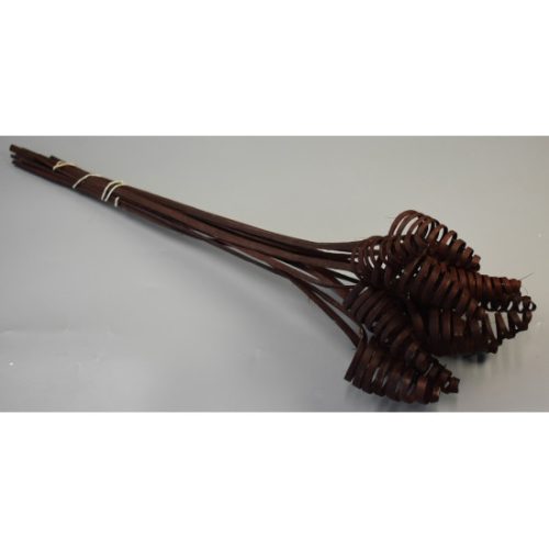 Cane Cone barna