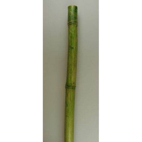 Bambusz 2,1m×4-4,5cm vil.zöld (repedt)