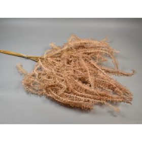 Ágas páfrány vil.barna