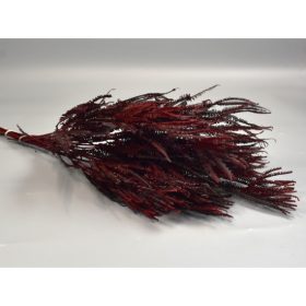 Ágas páfrány 150g bordó