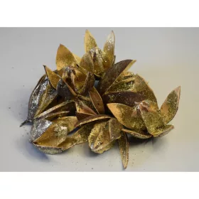 Wildlilie glitteres pezsgő