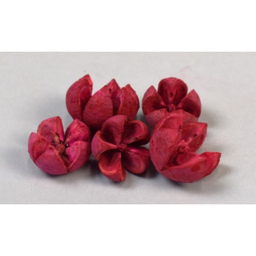 Tulipán termés feh.piros