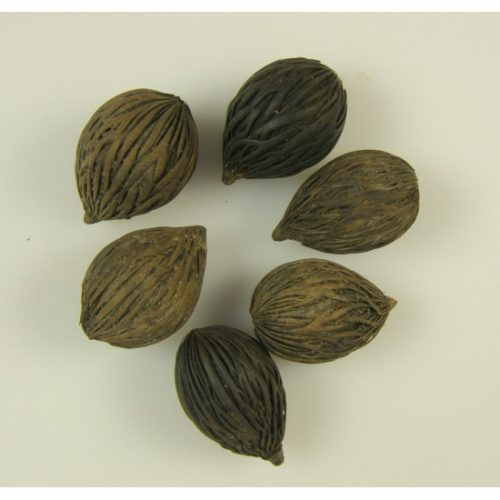 Mintola mini natúr