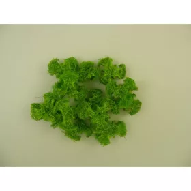 Luffa propeller ncs. vil.zöld