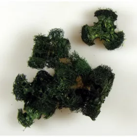 Luffa propeller ncs. söt.zöld
